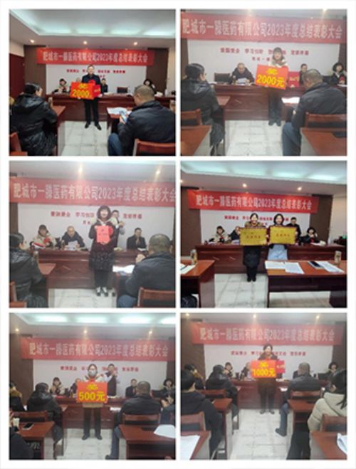 肥城一滕醫(yī)藥公司召開2023年度總結(jié)表彰大會